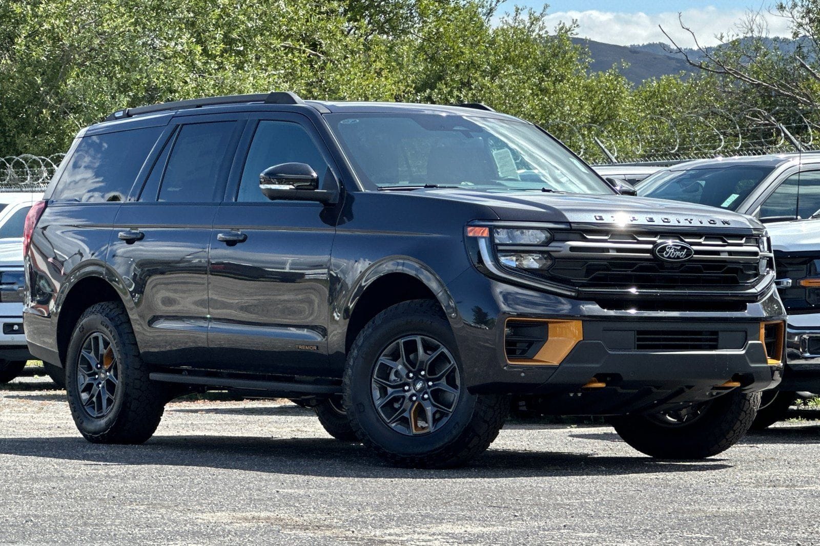 2026 Ford Expedition Tremor 4x4's photo