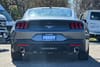 4 thumbnail image of  2026 Ford Mustang EcoBoost