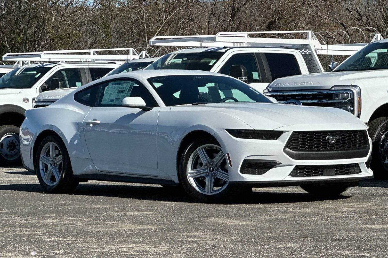 2026 Ford Mustang EcoBoost Fastback's photo