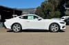 4 thumbnail image of  2026 Ford Mustang EcoBoost