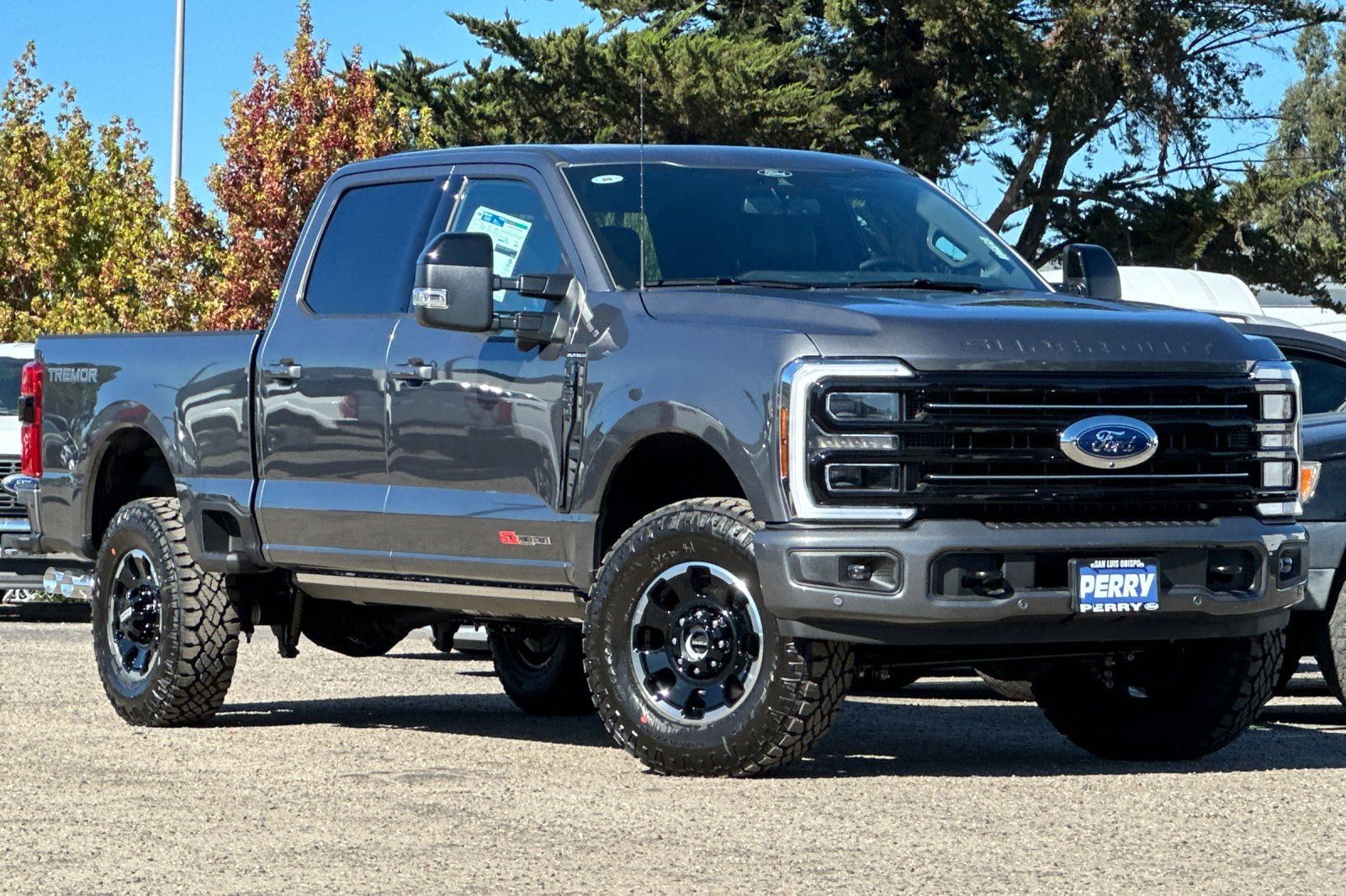 2026 Ford F-250 Super Duty Platinum's photo