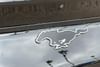 6 thumbnail image of  2025 Ford Mustang Mach-E Premium