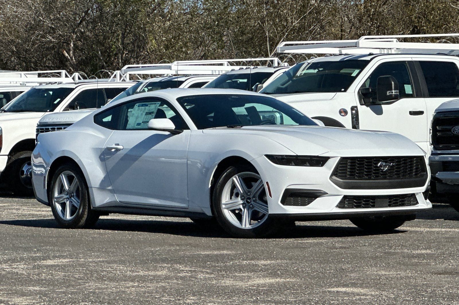 2026 Ford Mustang EcoBoost's photo