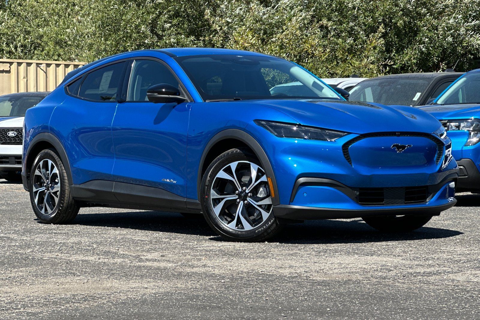 2025 Ford Mustang Mach-E Select RWD's photo