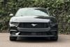 2 thumbnail image of  2025 Ford Mustang EcoBoost