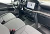 13 thumbnail image of  2026 Ford F-150 XL