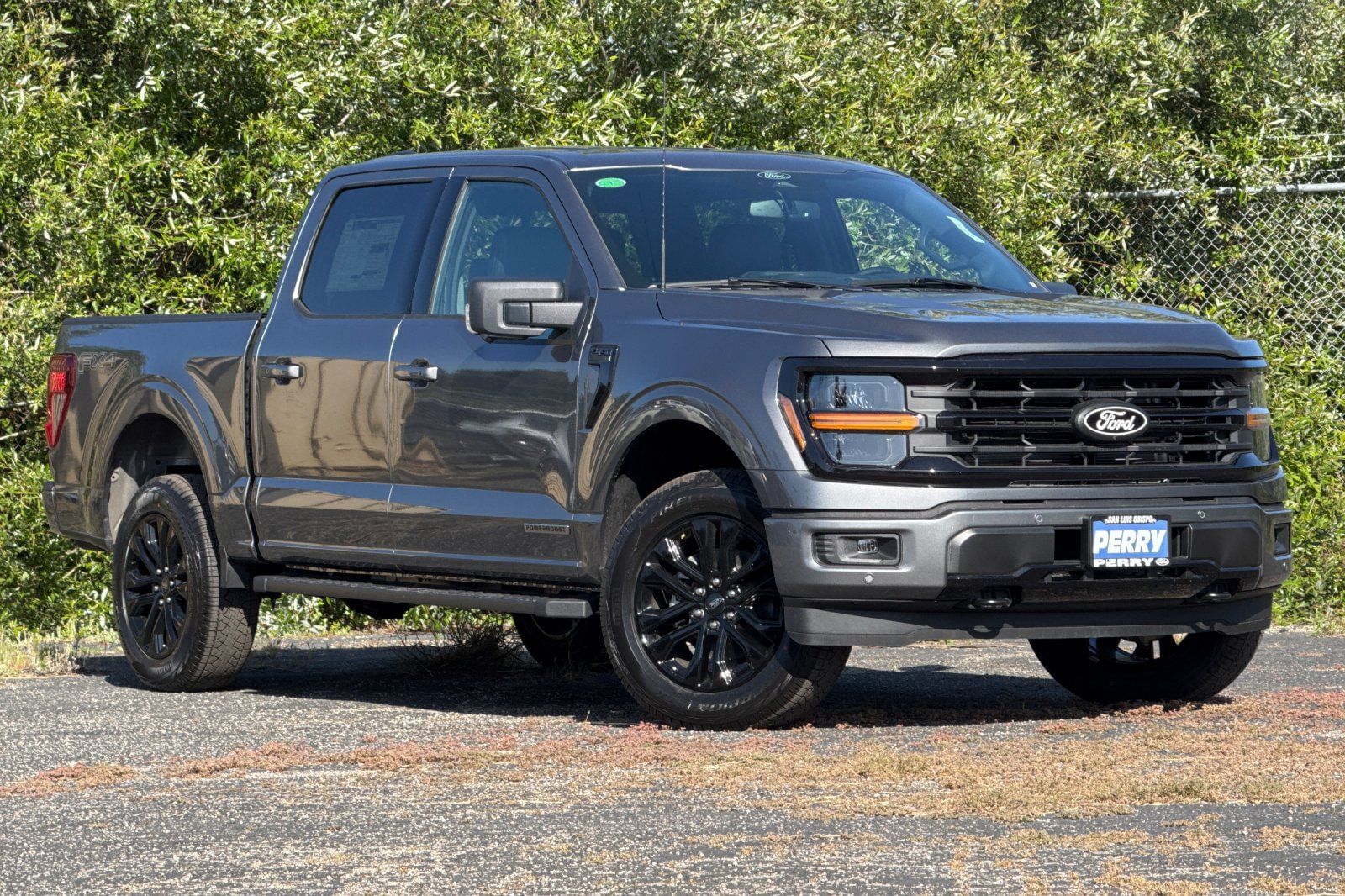 2025 Ford F-150 XLT's photo