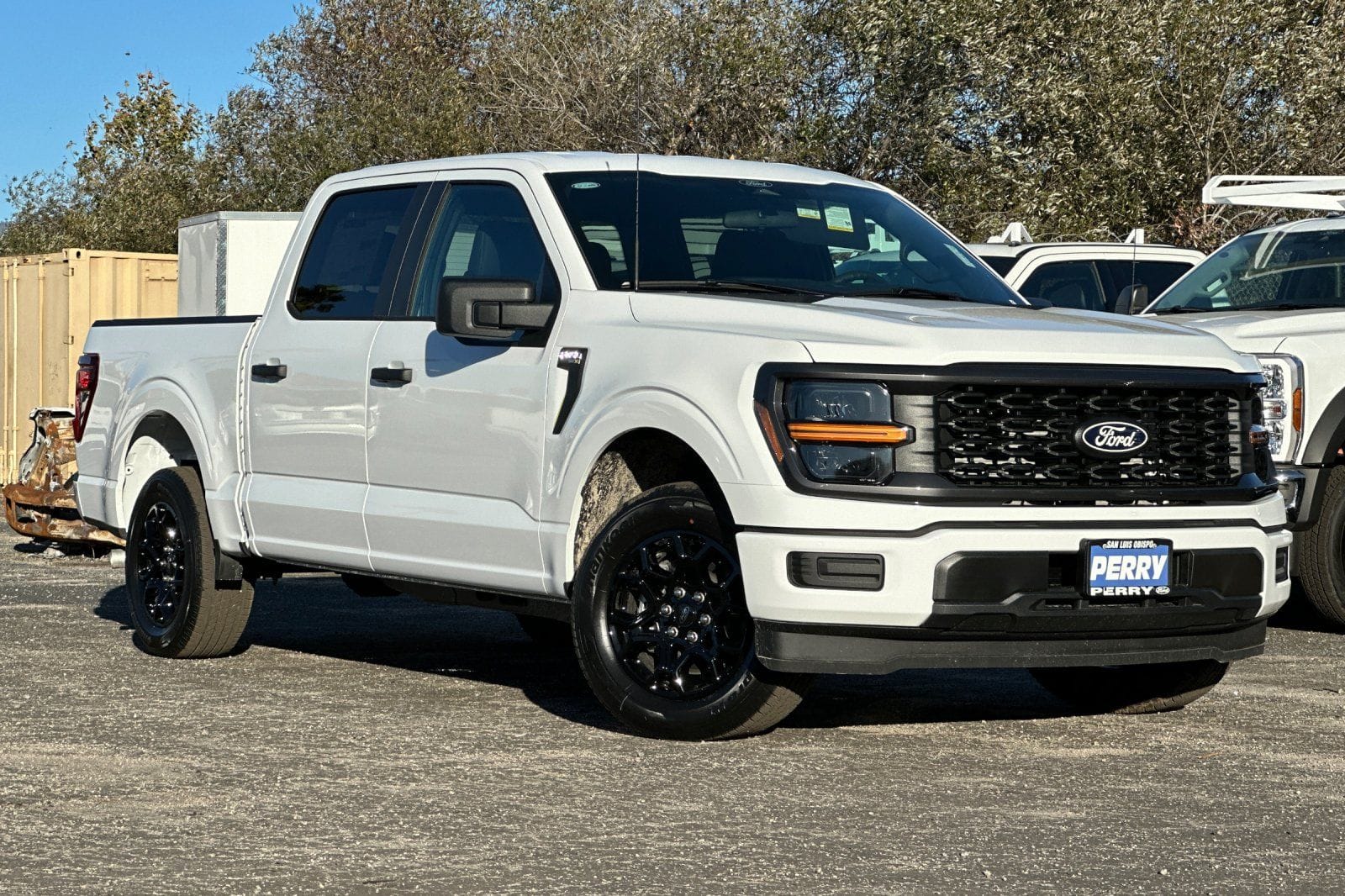 2025 Ford F-150 STX's photo