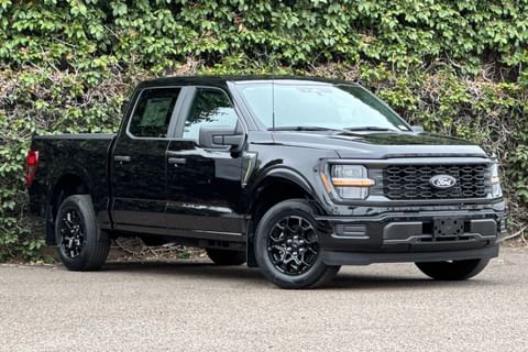 1 image of 2025 Ford F-150 STX