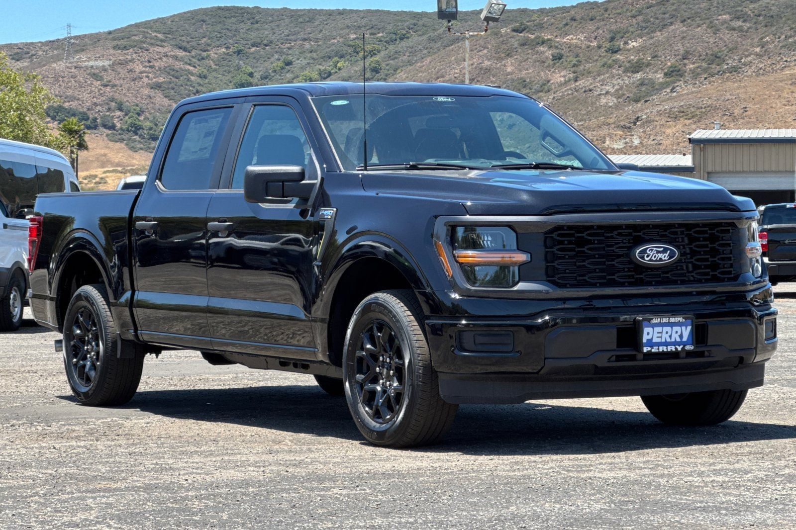 2025 Ford F-150 STX's photo