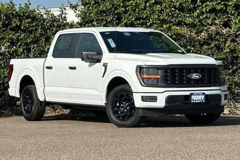 1 imagen de 2025 Ford F-150 STX