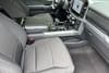 12 thumbnail image of  2025 Ford F-150 XLT