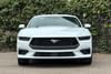 2 thumbnail image of  2025 Ford Mustang EcoBoost