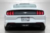 5 thumbnail image of  2019 Ford Mustang EcoBoost