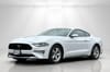 8 thumbnail image of  2019 Ford Mustang EcoBoost