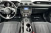 14 thumbnail image of  2019 Ford Mustang EcoBoost