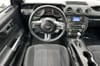 15 thumbnail image of  2019 Ford Mustang EcoBoost