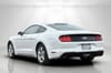 6 thumbnail image of  2019 Ford Mustang EcoBoost
