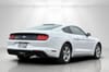 4 thumbnail image of  2019 Ford Mustang EcoBoost