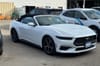 2 thumbnail image of  2025 Ford Mustang EcoBoost