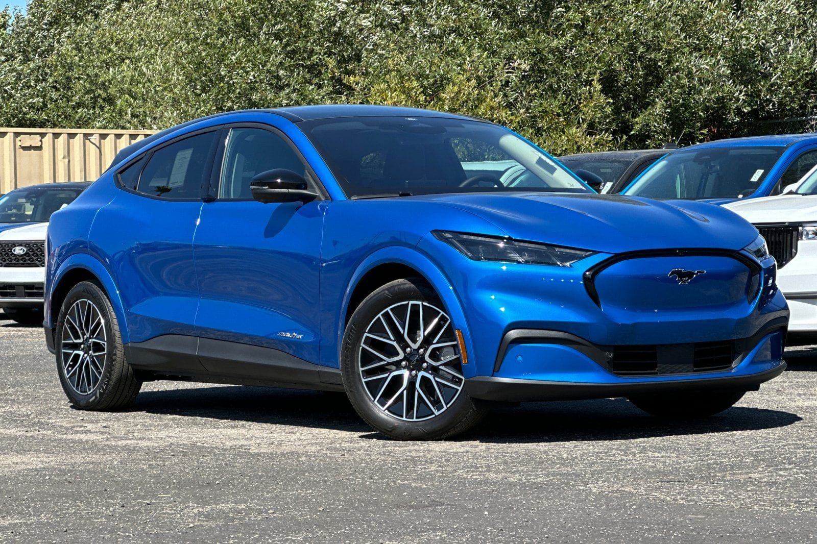 2025 Ford Mustang-Mach-e Premium's photo
