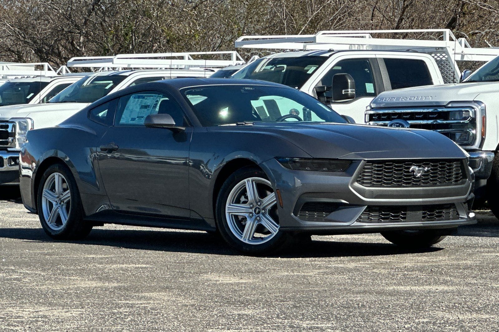2026 Ford Mustang EcoBoost Fastback's photo