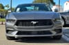 3 thumbnail image of  2026 Ford Mustang EcoBoost