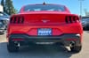 6 thumbnail image of  2025 Ford Mustang EcoBoost
