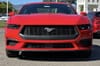 3 thumbnail image of  2025 Ford Mustang EcoBoost