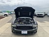 11 thumbnail image of  2014 Ford Mustang GT Premium