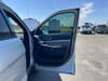 21 thumbnail image of  2017 Ford Explorer XLT