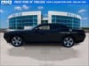 8 thumbnail image of  2020 Dodge Challenger SXT