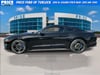 8 thumbnail image of  2021 Ford Mustang EcoBoost