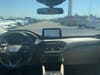 15 thumbnail image of  2022 Ford Escape SE