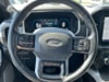 18 thumbnail image of  2022 Ford F-150 Platinum