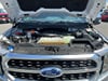 23 thumbnail image of  2022 Ford F-150 Platinum