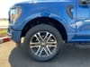 23 thumbnail image of  2023 Ford F-150 STX