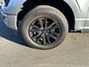 25 thumbnail image of  2024 Ford F-150 Platinum