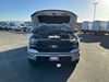 11 thumbnail image of  2024 Ford F-150 Platinum