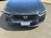 22 thumbnail image of  2024 Honda Accord EX