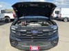 11 thumbnail image of  2025 Ford Expedition Active