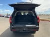 13 thumbnail image of  2025 Ford Expedition Active