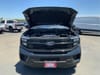 11 thumbnail image of  2025 Ford Expedition MAX Active