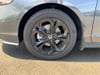 25 thumbnail image of  2025 Honda Accord SE