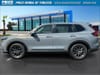 8 thumbnail image of  2026 Honda CR-V EX-L AWD