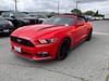 3 thumbnail image of  2016 Ford Mustang EcoBoost Premium