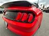 10 thumbnail image of  2016 Ford Mustang EcoBoost Premium