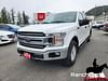 2018 Ford F-150 XLT - NO ACCIDENTS! BACKUP CAMERA, 4WD