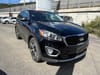 2 thumbnail image of  2016 Kia Sorento 3.3L EX