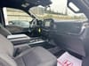 18 thumbnail image of  2023 Ford F-150 XL